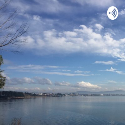 Οι σκέψεις ενός πεζού 